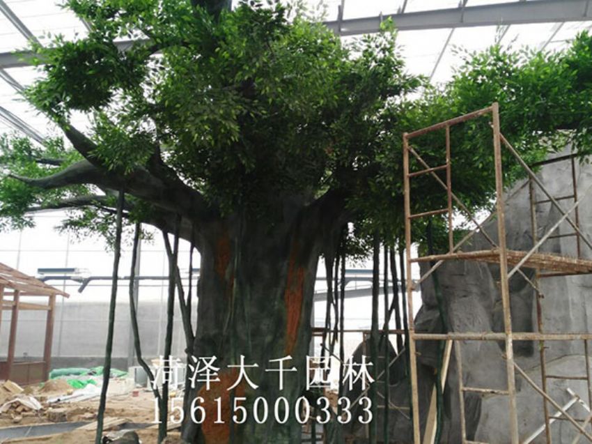 點擊查看詳細信息<br>標題：假樹 閱讀次數：1576