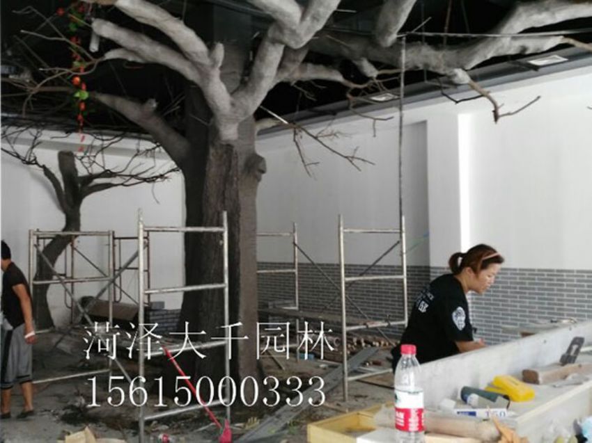點擊查看詳細信息<br>標題：假樹 閱讀次數：1517