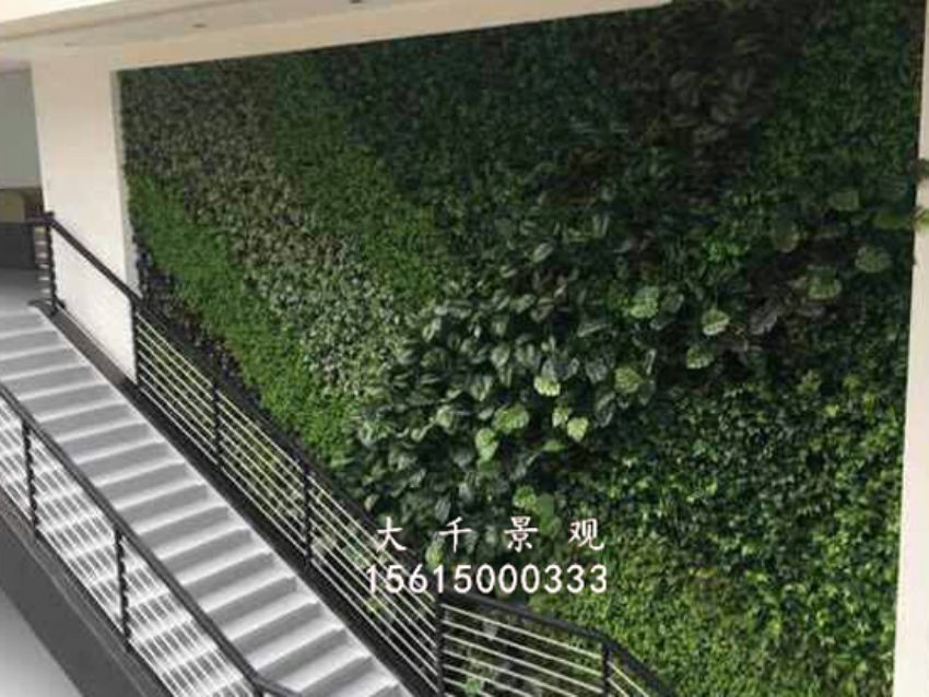 點擊查看詳細信息<br>標題：綠植墻 閱讀次數：1825