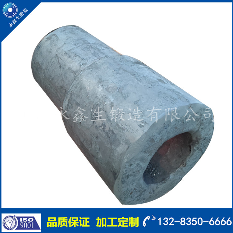 鍛造反應(yīng)器本體鍛件3.jpg